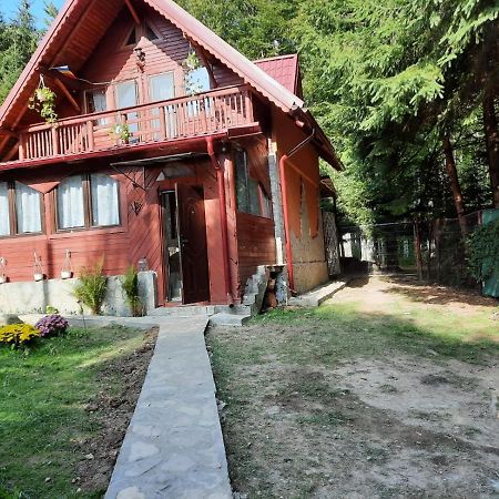 Вилла Casuta Paterau Cheia, Prahova Кейя Экстерьер фото